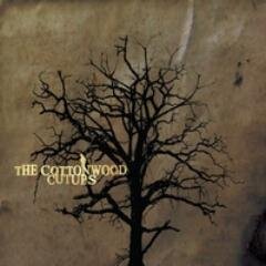 Cottonwoodcutup's profile picture. Jesse Hill- Mandolin, guitar, banjo, vocals, lyrics
 Joel Hill - Guitar, vocals, lyrics 
Ryan Ramsdell - Upright bass, Bass Drum, Vox, lyrics