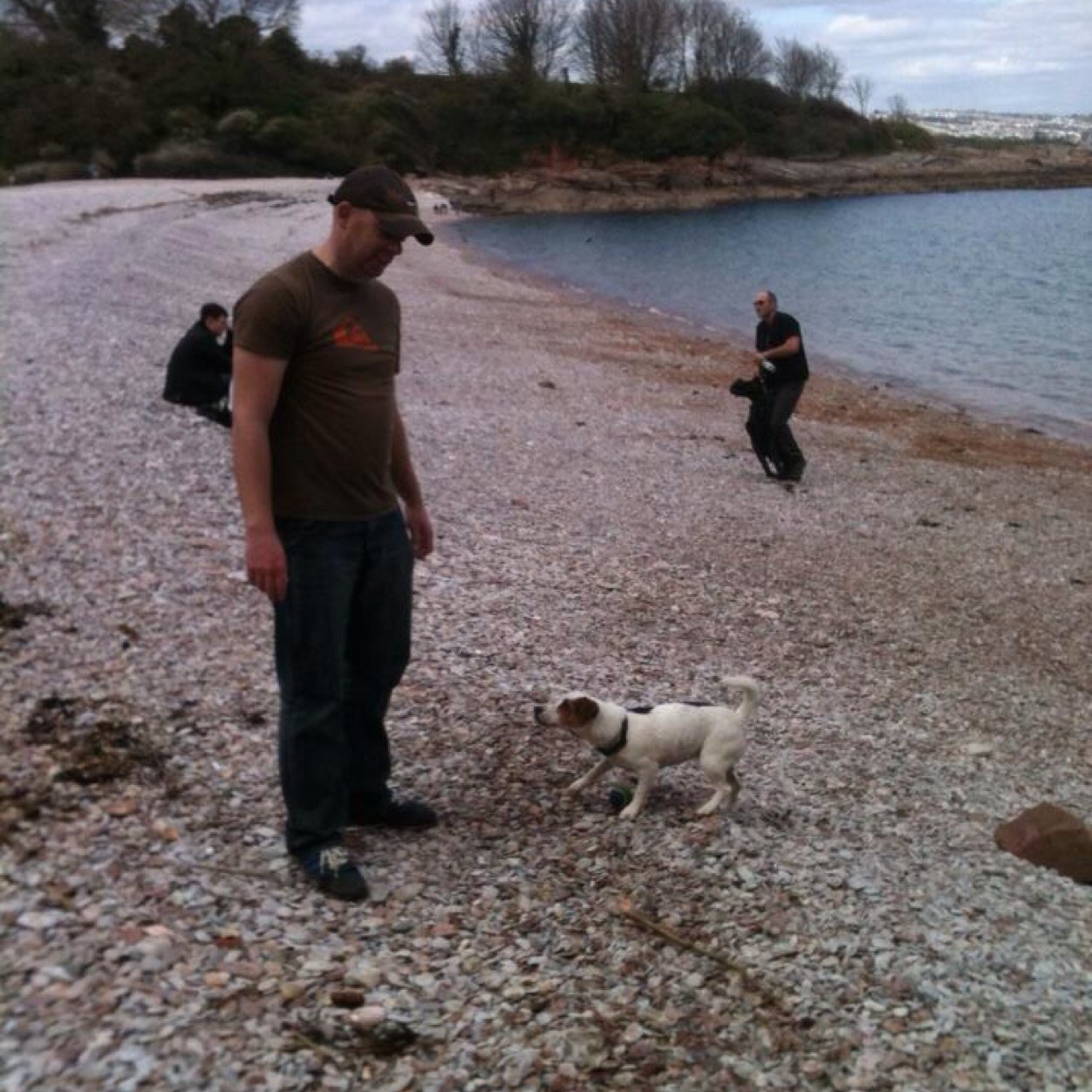 mpeds16's profile picture. 