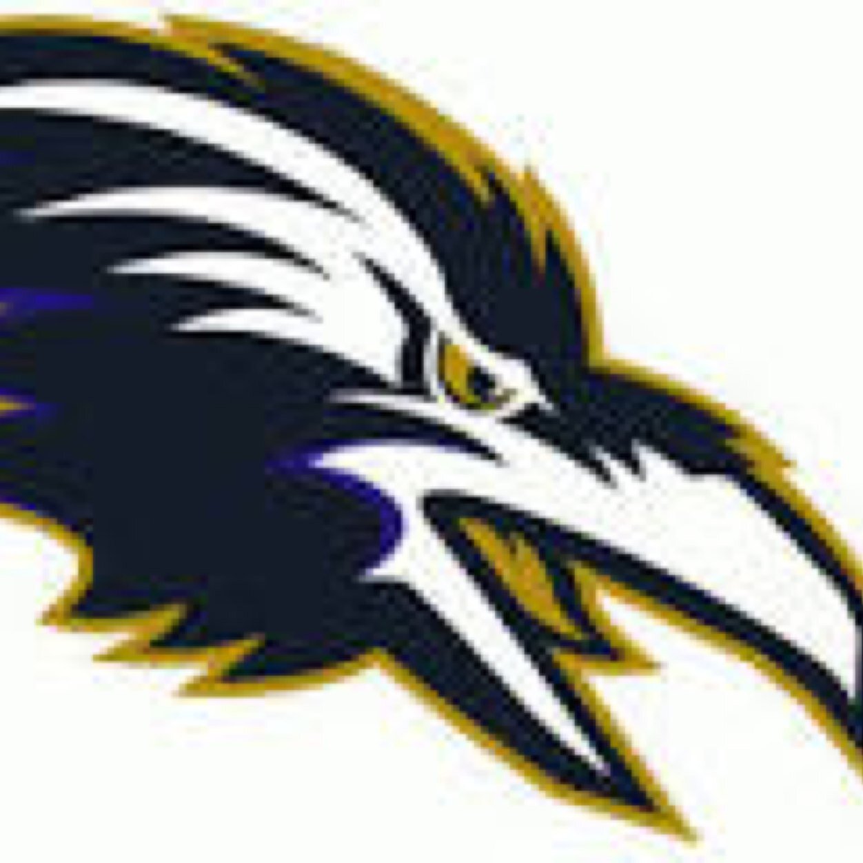 TheRavensClan's profile picture. Competitive clan , Spanish clan #GoRavens (WD Supremacy) (Western Digital) Decerto france