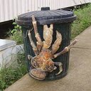 Dexter Davison - @dexterdavison1 - Twitter