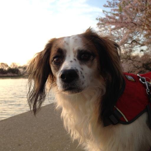 julwep's profile picture. 