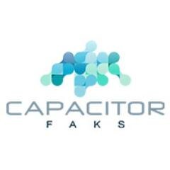 CapacitorFaks Profile Picture