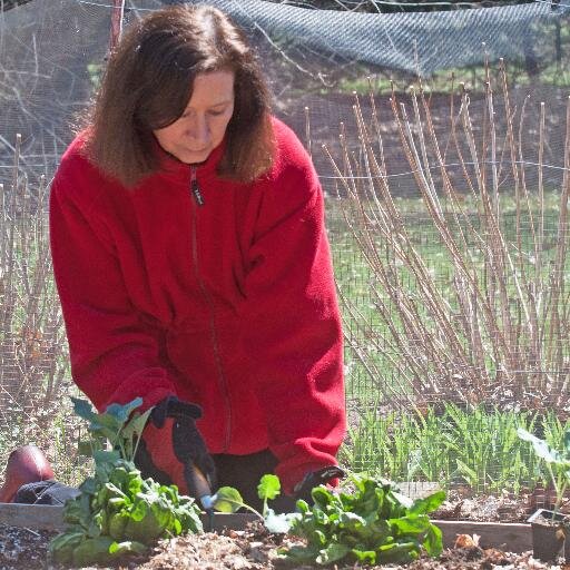 I'm a gardener and irreverent garden writer at http://t.co/G0AsnpUhiy and the Gardening Expert at http:http://t.co/LcvJSOnSnV.       --Any excu