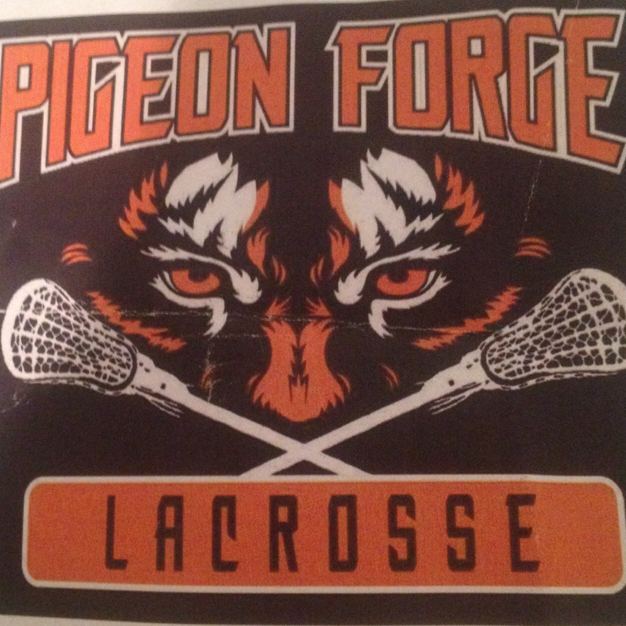 PigeonForgeL's profile picture. Girls lacrosse at PFHS.