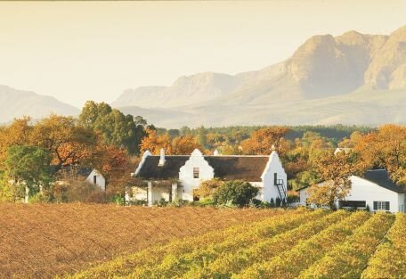We are a trading company for clients abroad, who wish to import premium wines from South Africa on a regular basis. Skype: pkolodzi Tel SA: +27827661331