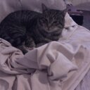 Patrick Power - @pjapower1 - Twitter