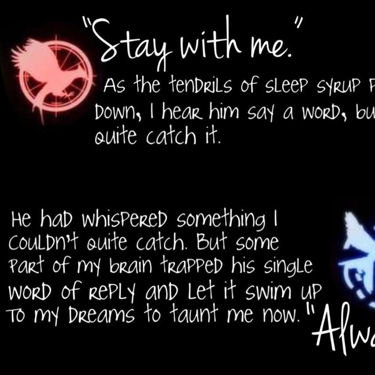 HUNGER GAMES IS LIFE