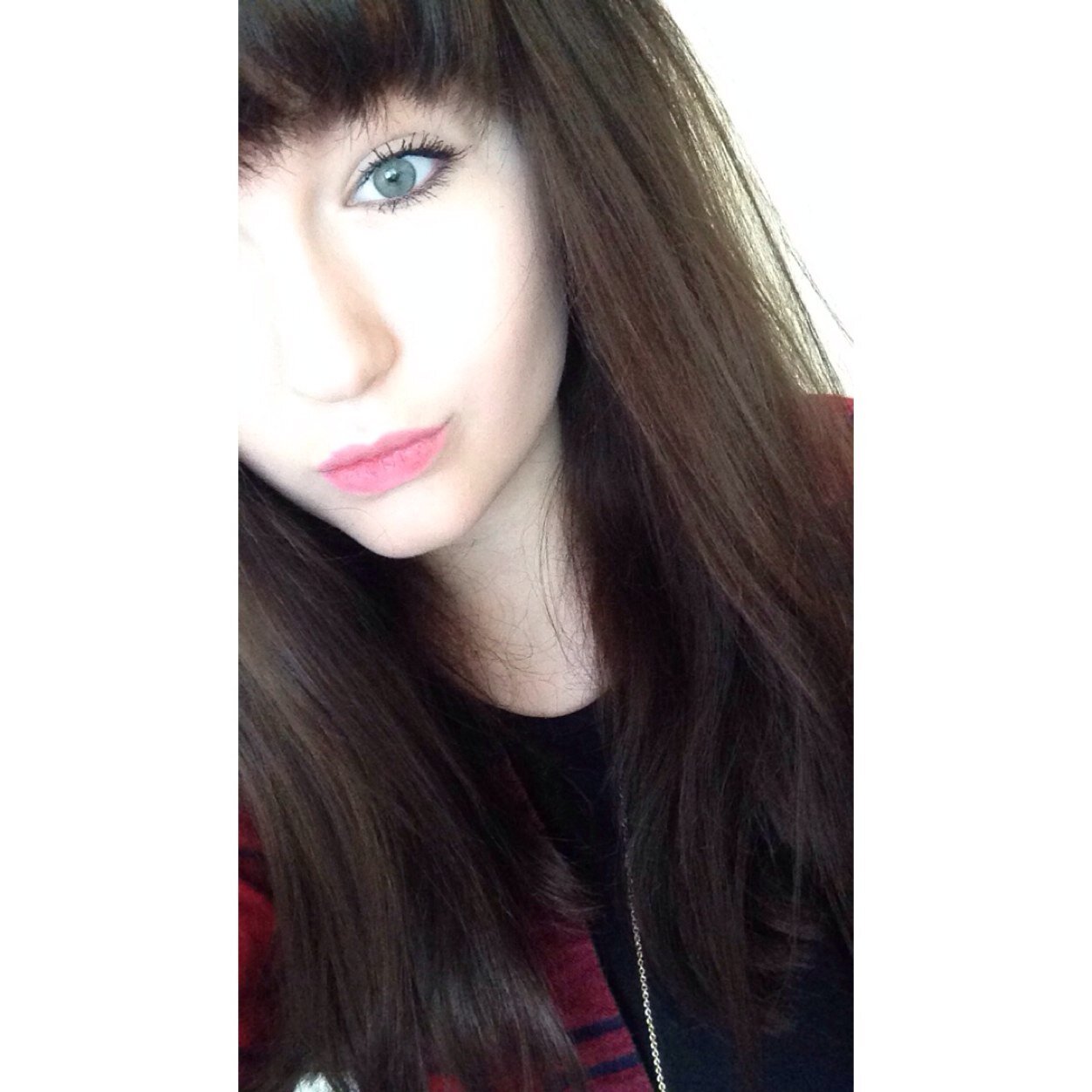 Fran_saddles's profile picture. Bands and shit Normal account : fran.sadler