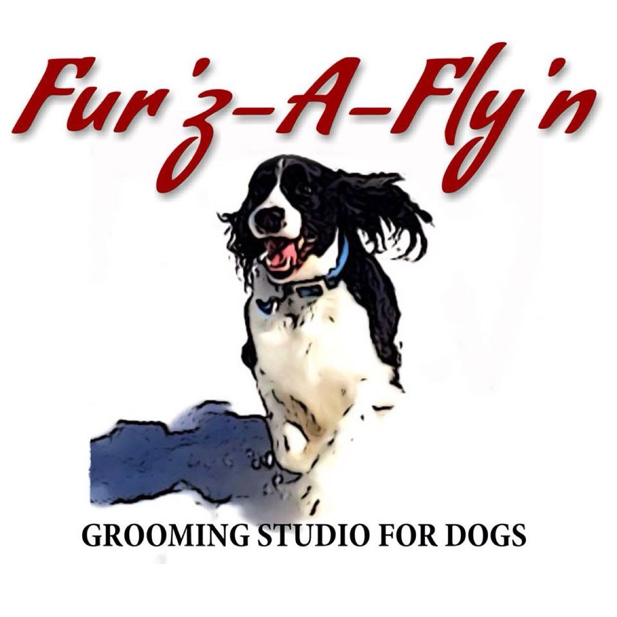 FurzAFlyN's profile picture. Licensed Groomer with 30+ yrs experience, with a studio connected to home in Orillia. Please see Facebook page for further details!