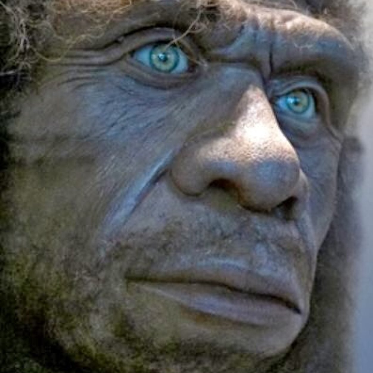 zimbo_mukiwa's profile picture. A White African, Never Complete, Never whole, White Skin & an African Soul.