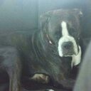 Paige Carr - @3d5373ff2f204f8 - Twitter