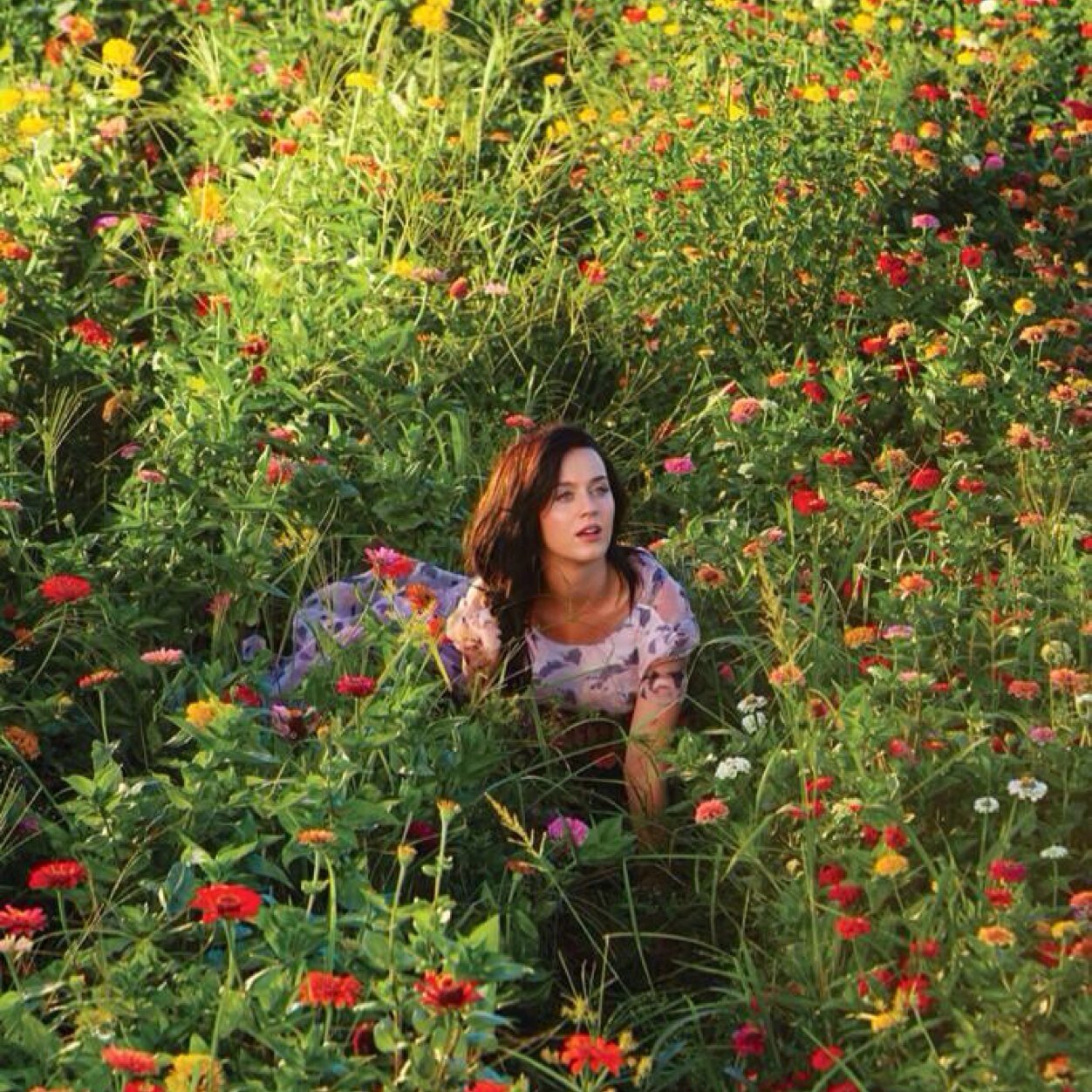 WASKatyClit's profile picture. Follow @lanaclitrey