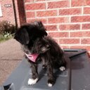 Terence  Harding - @telbig12 - Twitter