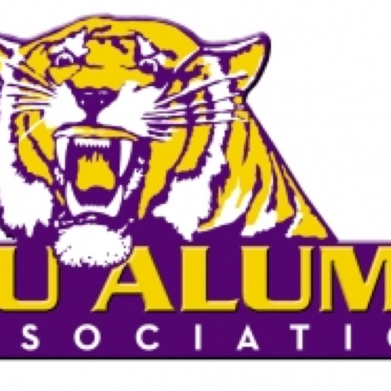 PROUD Grad of LSU!!!! Geaux Tigers