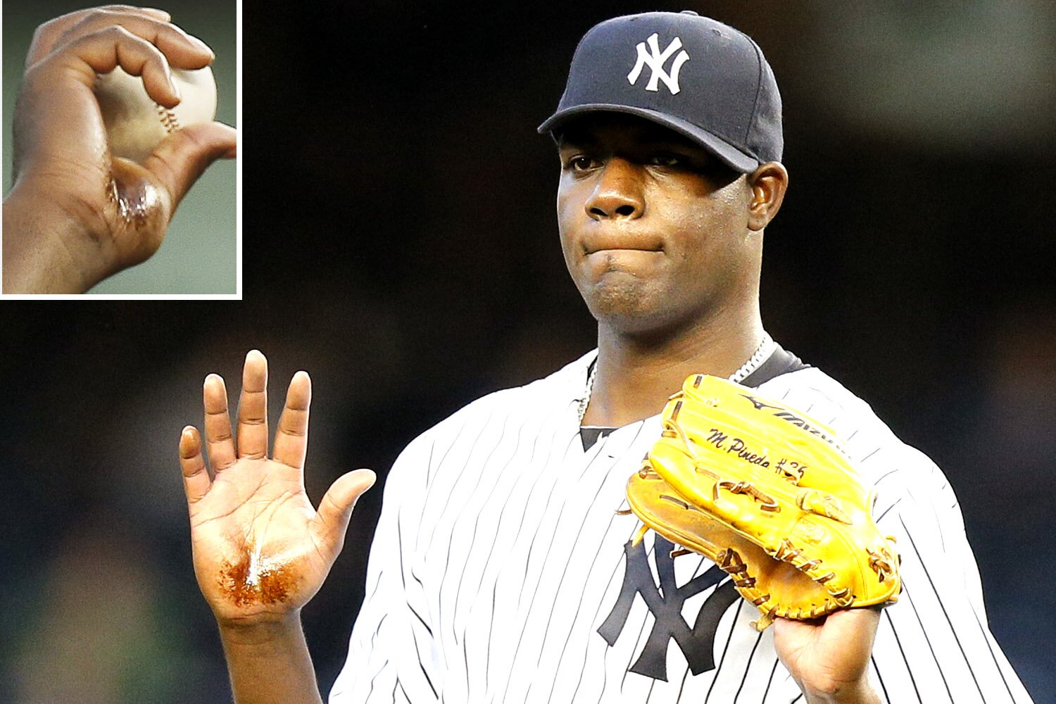Pine Tar Expert