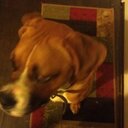 Nikolas Turner - @nikolas_turner - Twitter