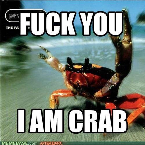 A NAUGHTY CRAB WHO LOVES THE LAUGHTER ENJOYS RUM AND HANGS OUT WITH CAPTAIN JACK SPARROW AND CAPTAIN MORGAN :P