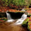 reina pena  - @REINAP2014 - Twitter