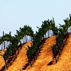 Wine + Travel = Winecations. The best of Wine Country from around the world. (Formerly Vinocations)