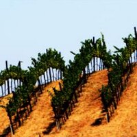 Winecations (@winecations) 's Twitter Profile Photo Winecations (@winecations) 's Twitter Profile Photo