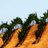 Winecations's profile image