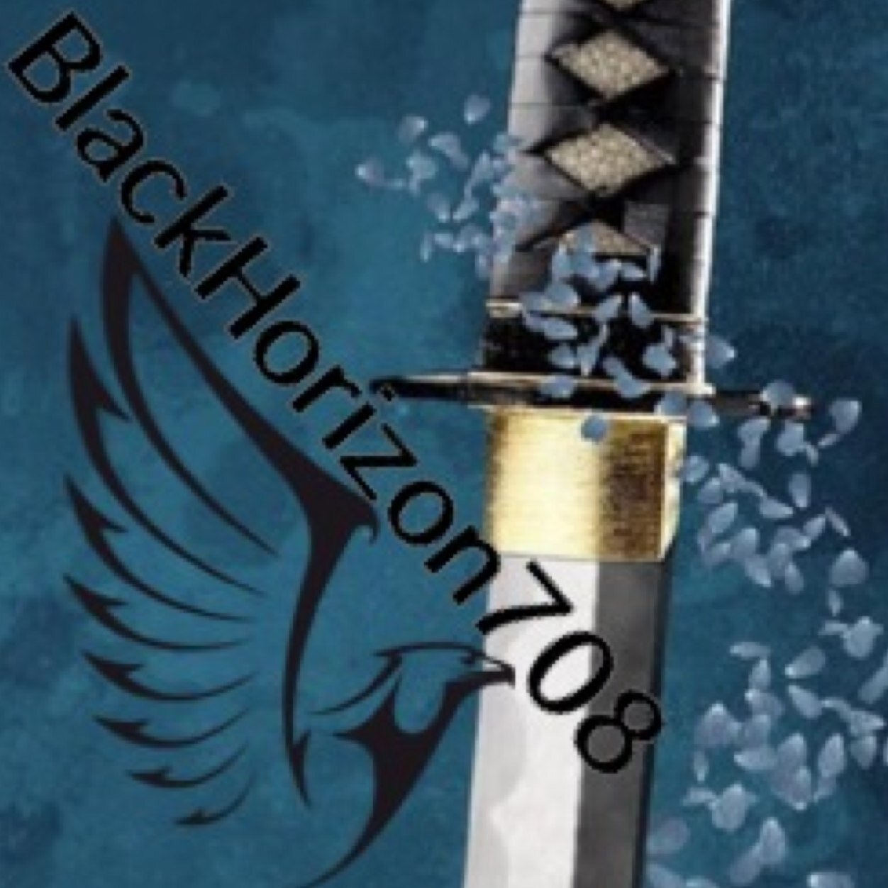 Youtube- BlackHorizon708 Twitter- @BlackHorizon708 Lots of cool stuff hope you dudes and gals like :3
