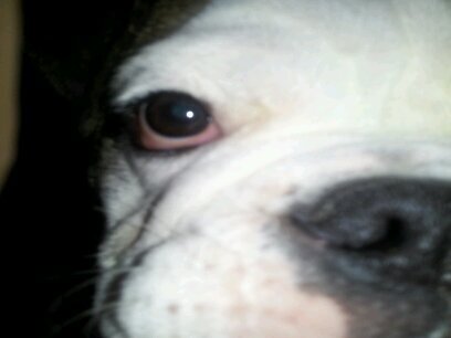 chadtaylor1969's profile picture. 