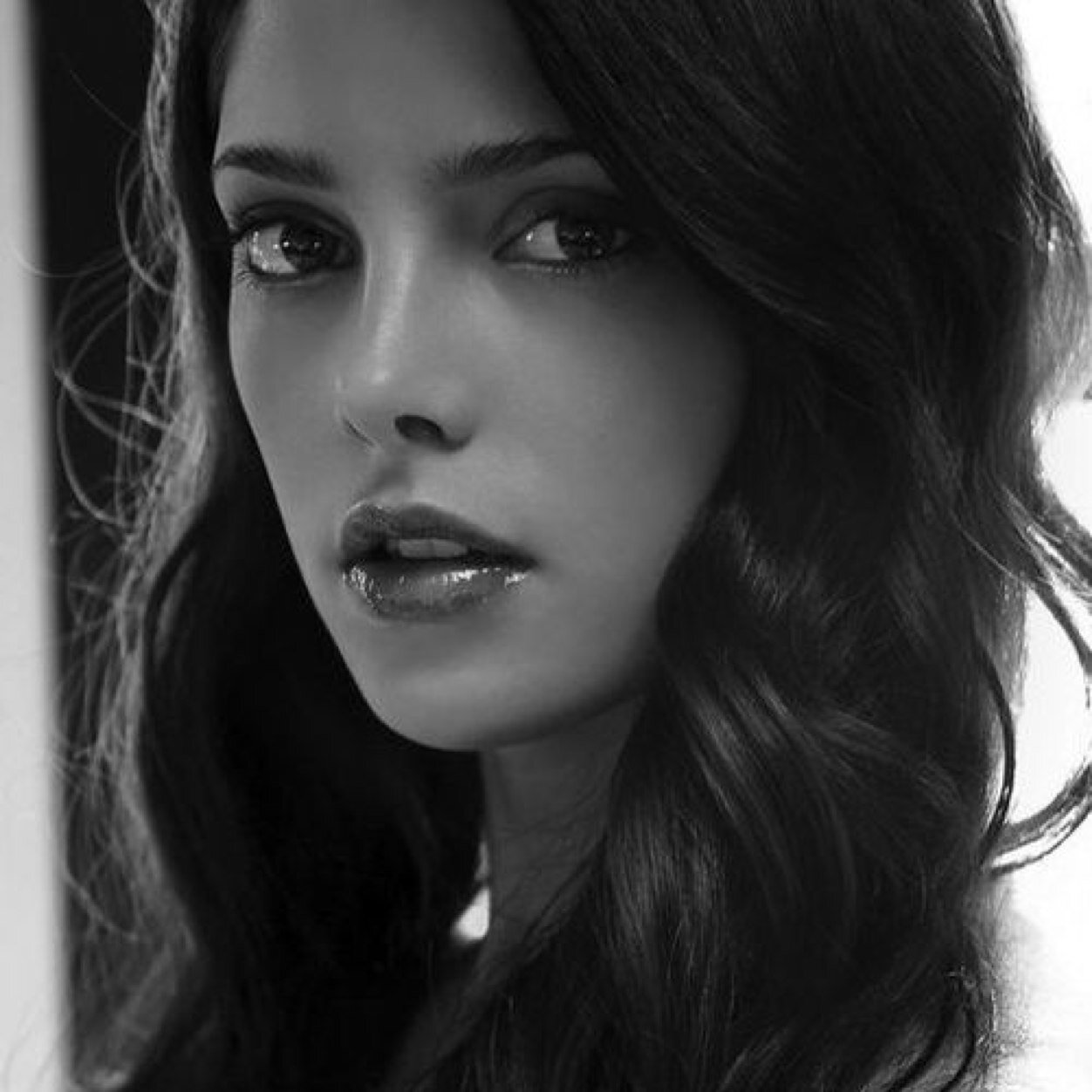 The various visions within my mind, sketch themselves beyond belief. But still slow, like chiseling a rock to perfection; the image is clear, ✃ Twilight ✃ MS ✃