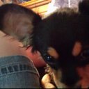 Genevieve Magee - @Jenna_Magee48 - Twitter