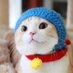 🐢 🅲🆁🅸🆂🆃🅸🅰🅽🅷🅲🅳 🐈 🐢 (@cristianhcd) Twitter profile photo