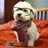jareyxu's profile image