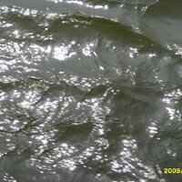 AugustSu (@wiseway) 's Twitter Profile