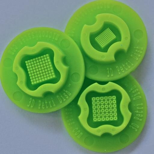 Everything about 3D Cell Culture and the 3D Petri Dish will pass through here...