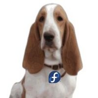Alejandro Perez (@aeperezt) 's Twitter Profile Photo Alejandro Perez (@aeperezt) 's Twitter Profile Photo