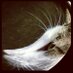 Jesse Pennington (@__pennington) Twitter profile photo