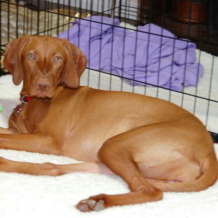 AnghelJulian's profile picture. 