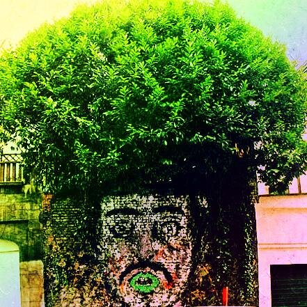 didedikasikan buat kawan-kawan landscaper yang lagi atau suka GALAU #inspirasi hari lewat kegalauan hati