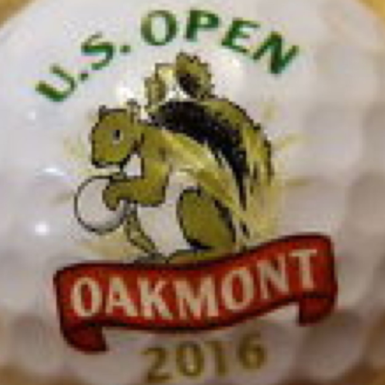 Not affliated with the PGA or U.S. Open in any way. This is a paid parking site on 13th street in Oakmont, PA, just steps away from gate 2 entrance.