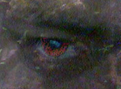 thinkingsoda's profile picture. 