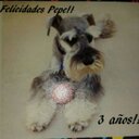 Edna Leon Ayala - @eleonayala - Twitter