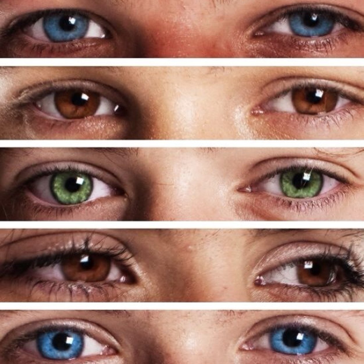 We love 1D, R5, 5SOS, Little Mix, Eleanor & Danielle, Cher Lloyd, Selena, Demi, Justin, Miley, SWS, Ed, SHM, Taylor..You will find many things. 23/08/12 #FOLLOW