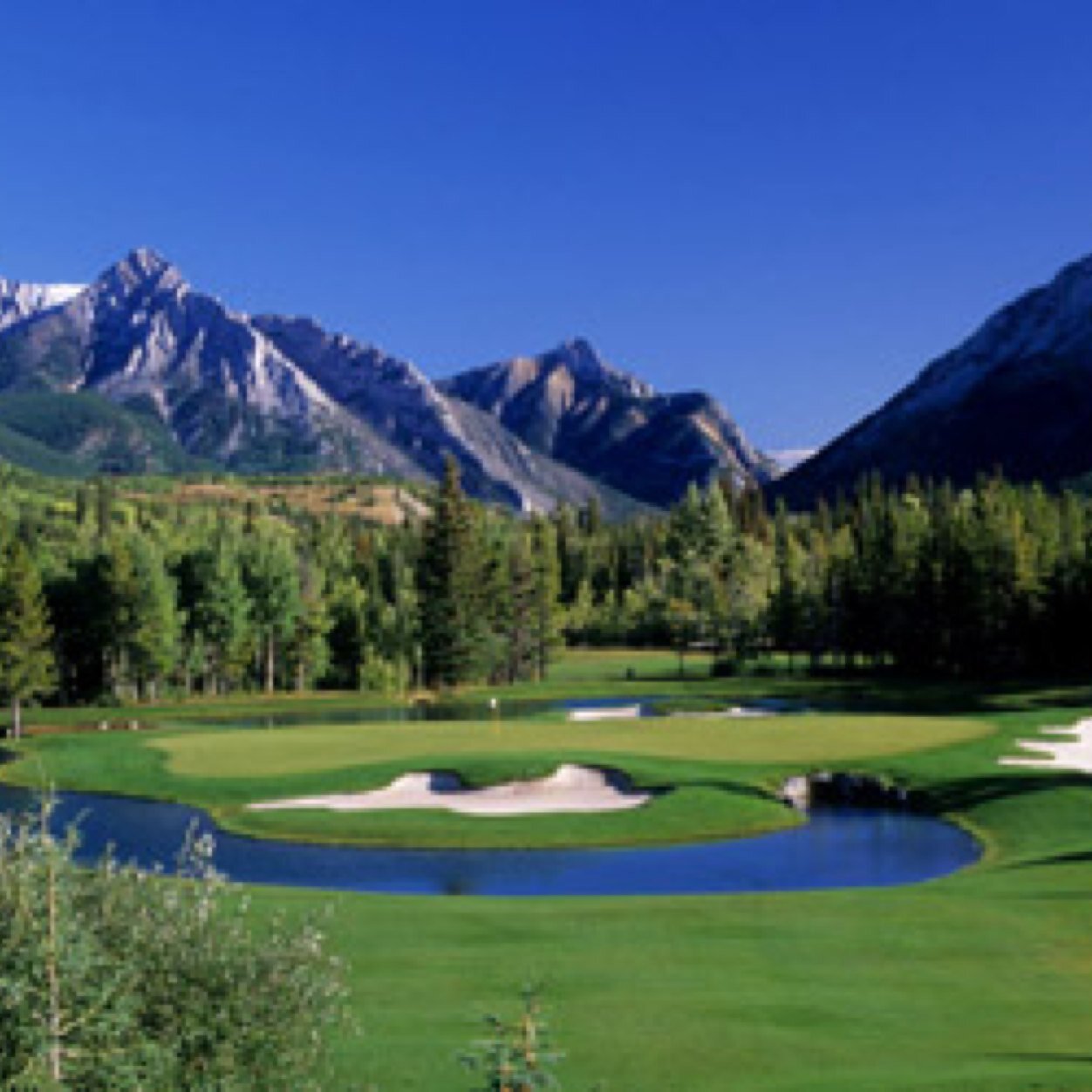 A website/blog offering ways to increase service at your golf course! We also provide many other services! Check out our website for more details!