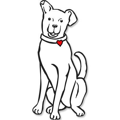 Every day a new dog photo and story at http://t.co/zQZco5peVs since 1998. We know every dog is special.