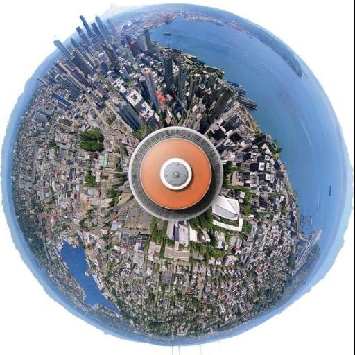 ardengarden's profile picture. 