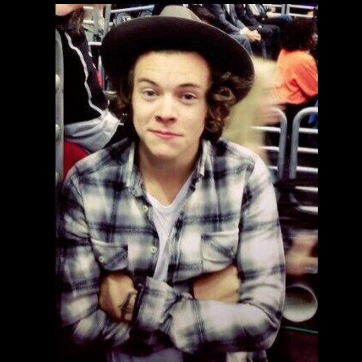 i didn't choose the harry life it chose me