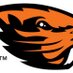 Chad Morton (@gobeavos) Twitter profile photo
