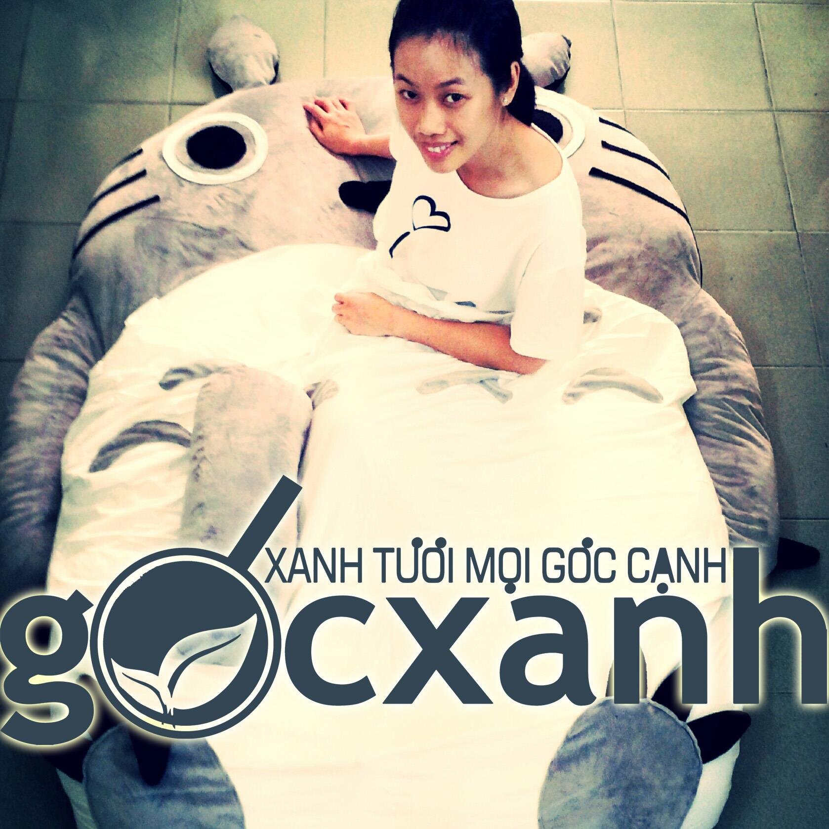 Nệm thú bông, Giường lười, Ghế lười, bean bag Tiêu Chuẩn Quốc Tế, Giá cả Việt Nam