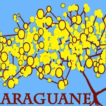 RedAraguaney's profile picture. Somos una red de iniciativas y grupos organizados enfocados en trabajar en pro de la despolarización y el encuentro de todos los venezolanos