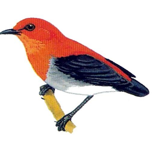 ErnaRofidah's profile picture. 