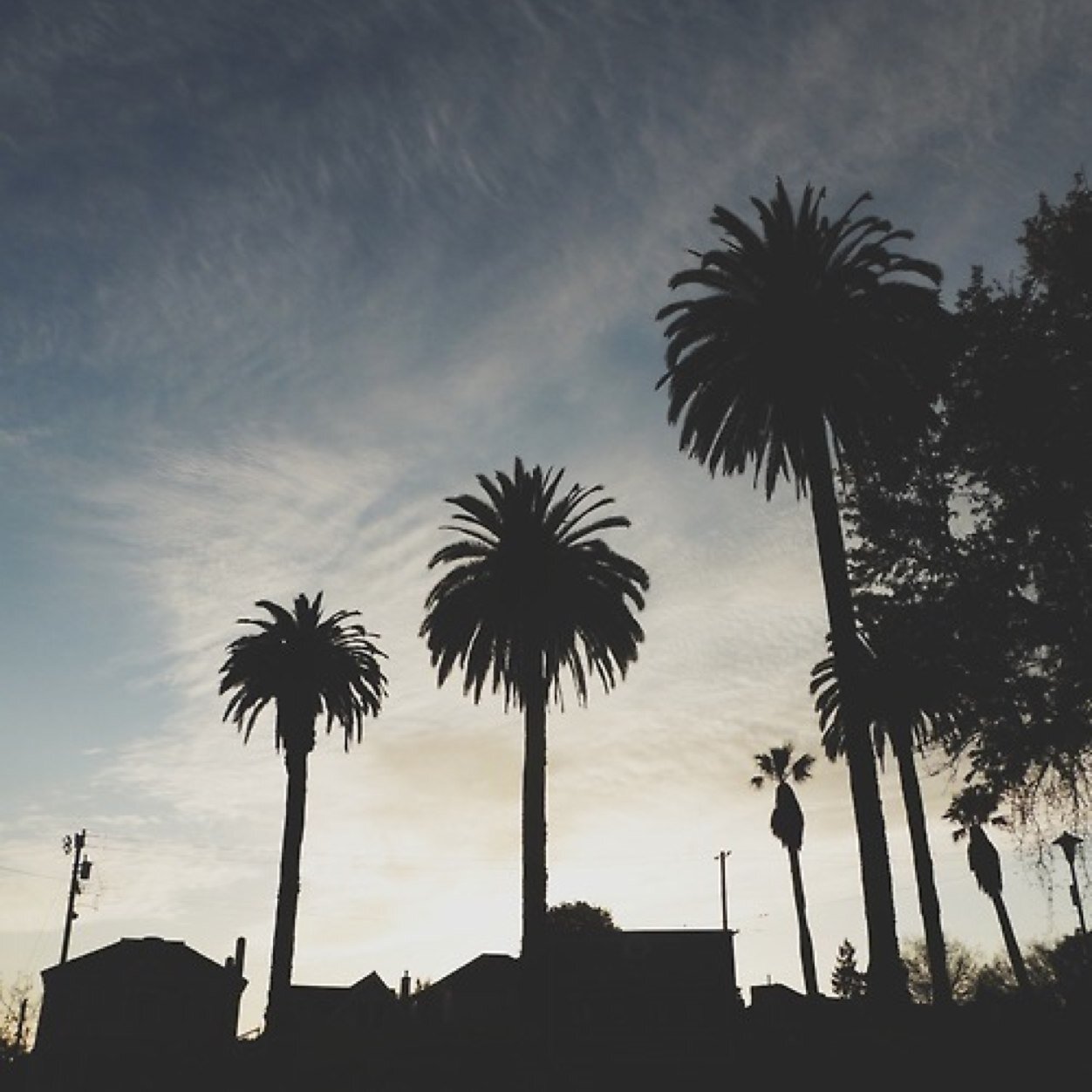 larrynewupdates's profile picture. @simpleplan